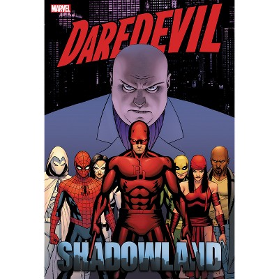 Daredevil: Shadowland Omnibus Cassaday Cover [New Printing] - by  Andy Diggle & Marvel Various (Hardcover)