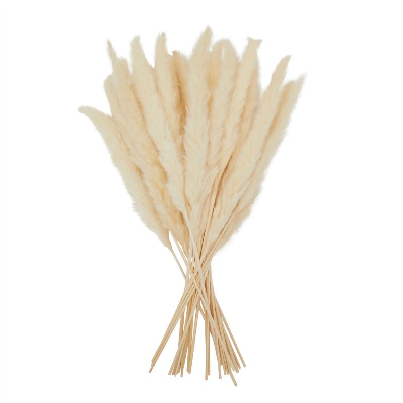 Juvale 30 Pack Dried White Pampas Grass for Vase, Wedding, Rustic-Style Farmhouse Decor, Boho-Themed Home Decor, 17 In, 1 of 10