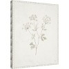 Amanti Art Plants from the Meadow IV by Sarah Adams Canvas Wall Art Print Framed 16 x 20-in. - 3 of 4