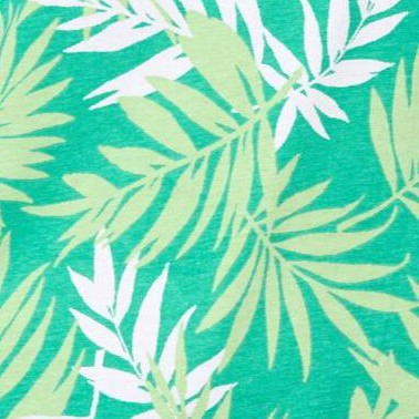 tropical palm leaf