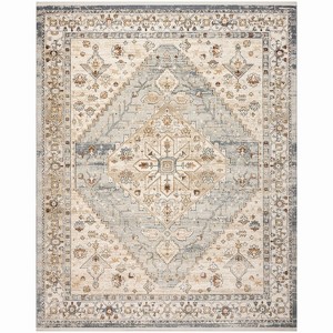 Nourison Pardis Medallion Vintage Indoor Rug - 1 of 4