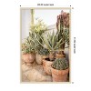 Amanti Art Patio Garden with Potted Succulents by Henrike Schenk Wood Framed Wall Art Print - 3 of 4