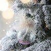 Whisen D3" Christmas Ball Ornaments, Glass Decorative Hanging Ball Christmas Tree Ornaments, Set of 12 - 2 of 4