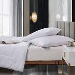 2pk Medium Firm Cotton Blend Feather Down Bed Pillow - Martha Stewart
