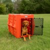 Dakota 283 Canine Rough and Tough Economy Pet Kennel, Heavy Duty Crate for Dogs and Cats with Ventilation Holes, Large, Orange - 4 of 4
