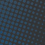 stone cold steve austin