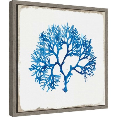 Blue Coral I Canvas Print with Gray Frame, 16 x 16-in