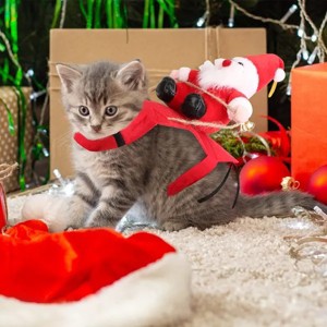 Pet Christmas Costumes Red Winter Coat for Dog Riding Santa Claus with Bell Clothes New Year Outfit Cosplay Costumes Party Dress Up For Cats - 1 of 4