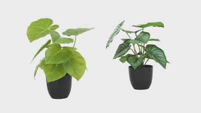 Set of 2 Green Epipremnum Faux Plants in Black Pots