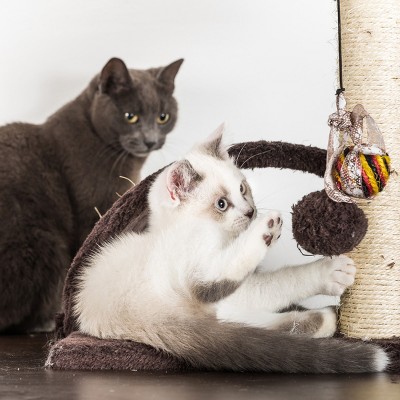 Pet Adobe 3-Tier Cat Tree with Scratching Posts – Beige