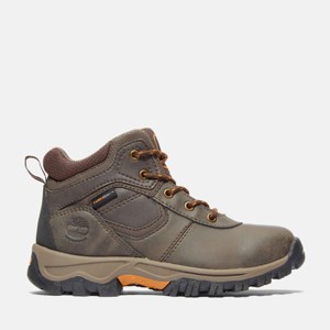 Timberland Junior Mt. Maddsen Waterproof Mid Hiking Boot - 1 of 4