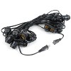 Novelty Lights Edison Outdoor String Lights with 25 In-Line Sockets Black Wire 37.5 Feet - 3 of 4