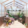 EROMMY Spruce Wooden Greenhouse For Outdoors - 2 of 4