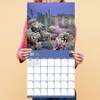 TF Publishing 2025 Wall Calendar 12"x12" National Parks - image 4 of 4