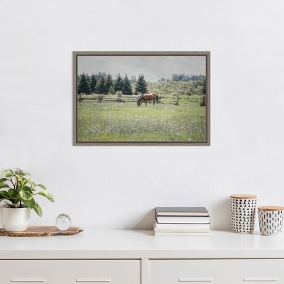 Sun Drenched Horse Grazing Canvas Framed Print