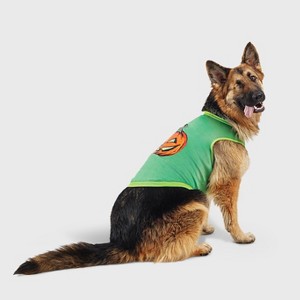 Halloween Retro Pumpkin Dog and Cat Sweatshirt - Hyde and EEK! Boutique™ - 1 of 3