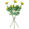 Northlight Real Touch™ Yellow Ranunculus Artificial Floral Sprays, Set of 6 - 21" - 4 of 4