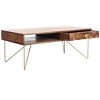 Raveena Coffee Table  - Safavieh - 4 of 4