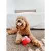 Midlee Valentine Plush Balls Dog Toy - Set of 6 - 4 of 4