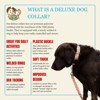 Country Brook Petz Deluxe Dog Collar - Made in The U.S.A. - Tasty Collection - 4 of 4