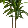 coucheta Artificial Tree, Artificial Plants with Planter, Large Artificial Dracaena Plant Indoor Decor Artificial Trees for Office Home Porch - 3 of 4