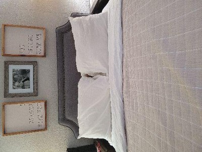 Guest review image 1 of 1, zoom in
