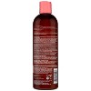 Hask Color Care Color Protection Shampoo - 12 fl oz - 2 of 4