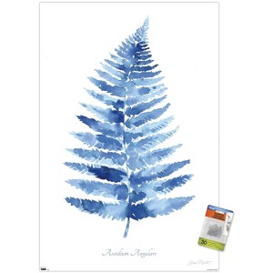 Trends International Jean Plout - Indigo Botanical Asoidium Angulare Unframed Wall Poster Prints - 1 of 4