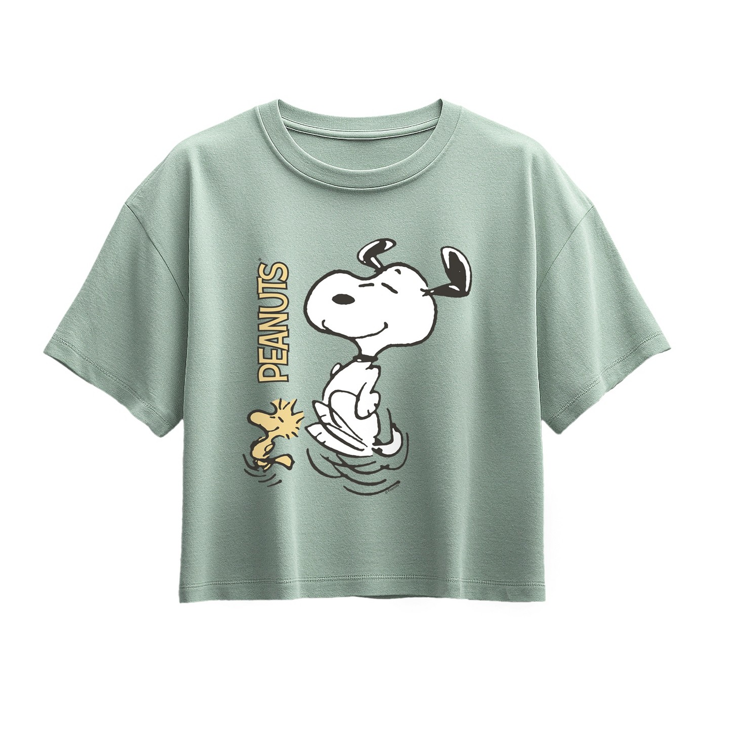 Футболка Peanuts Snoopy Dance Short Sleeve Boxy Graphic T-Shirt - Seafoam для девочек — фото 1