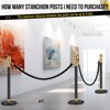 COZONY 4 Pcs Stanchion Post with 3 Pcs Black Velvet Ropes, Stainless Steel Crowd Control Barriers for Events, Elegant Queue Management System,2 Packs - 3 of 4