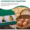 3/ 4 Hole Metal Chicken Nesting Box with Removable Roll-Out Tray Easy Egg Collection & Clean Galvanized Steel Laying Box, for Backyard Coop Orange - 4 of 4