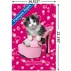 Trends International Keith Kimberlin - Kitten - Shoe Unframed Wall Poster Prints - 3 of 4