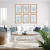 Plum & Post 16"W x 1"D x 22"H Sea Fan And Coral Study In Blue Framed Wall Art Set of 6 - 3 of 3