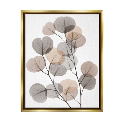Stupell Industries Modern Eucalyptus Leaf Stems Translucent Brown Grey Leaves