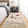 Modern Fluffy Area Rugs for Bedroom Living Room, Plush Soft Thick Fuzzy Shaggy Carpet for Kids Nursery Dorm - 3 of 4