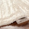 Hauteloom Gidja Beige Plush Area Rug - 4 of 4