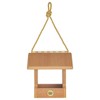 Bird Choice Small Modern Farmhouse Hopper Bird Feeder 7" Natural Teak Brown - 2 of 4