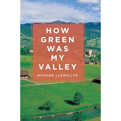 How Green Was My Valley - By Richard Llewellyn (paperback) : Target