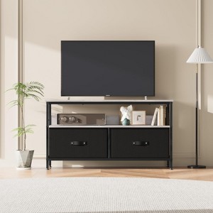 50 Inch TV Stand for Living Room, Dresser TV Stand for with 2 Drawers, Small Entertainment Center with Storage - 1 of 4