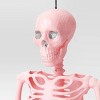 36" Poseable Skeleton Halloween Decorative Prop Pink Blush - Hyde and EEK! Boutique™ - 3 of 3