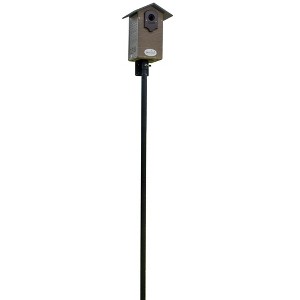 JCS Wildlife Ultimate Bluebird House - Mounting Pole Bundles Available! - 1 of 4
