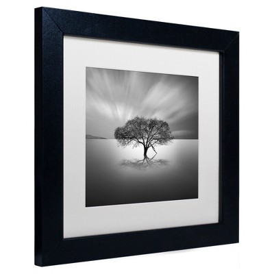 Trademark Fine Art - Moises Levy 'Water Tree VIII' Matted Framed Art