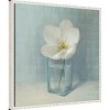 Amanti Art Single White Tulip by Danhui Nai Framed Canvas Wall Art - image 3 of 4