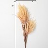 Sullivans Artificial Dried Reed Stem 48"H - 4 of 4