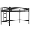 Twin Size Metal Loft Bed with Easy Climbing Ladder and Guardrails for Kids - 4 of 4