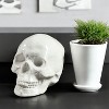 HomeRoots 6" White Ceramic Skull Tabletop Sculpture - 2 of 4