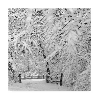 Winter Wonderland White Canvas Art Print, 14x14