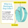 Country Brook Petz HossFit Jr Wide Martingale Dog Collar - Training Collar with No Buckle - Vibrant, Colorful Collection - 3 of 4