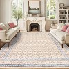 Acekool Machine Washable Area Rug, Geometric Low Pile Non Slip Soft Carpet for Living Room, Bedroom, Farmhouse - 2 of 4