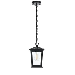 Elegant Lighting Cayman 7 inch Outdoor Pendant in Black - 1 of 4